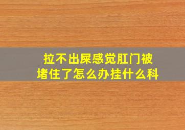 拉不出屎感觉肛门被堵住了怎么办挂什么科