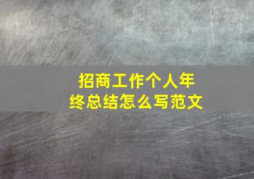 招商工作个人年终总结怎么写范文