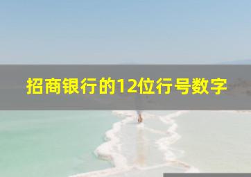 招商银行的12位行号数字