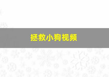 拯救小狗视频