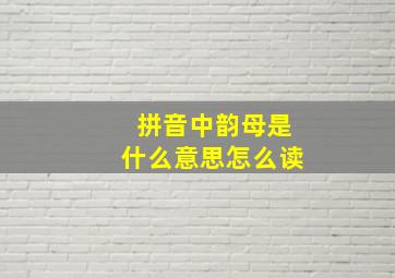 拼音中韵母是什么意思怎么读