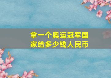 拿一个奥运冠军国家给多少钱人民币