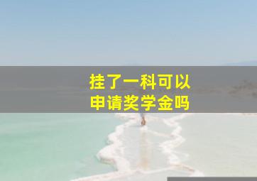 挂了一科可以申请奖学金吗