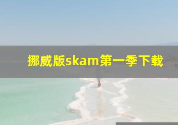 挪威版skam第一季下载