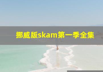 挪威版skam第一季全集