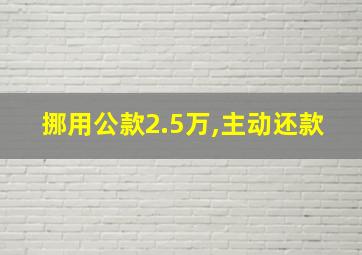 挪用公款2.5万,主动还款