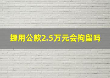 挪用公款2.5万元会拘留吗