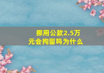 挪用公款2.5万元会拘留吗为什么