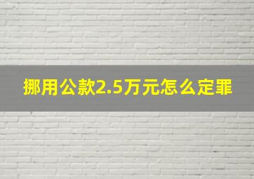 挪用公款2.5万元怎么定罪