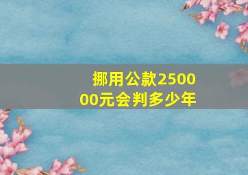 挪用公款250000元会判多少年