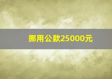 挪用公款25000元