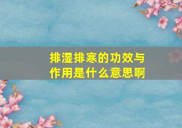 排湿排寒的功效与作用是什么意思啊