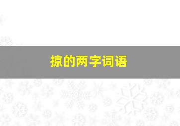 掠的两字词语