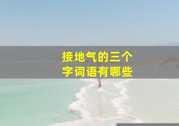 接地气的三个字词语有哪些