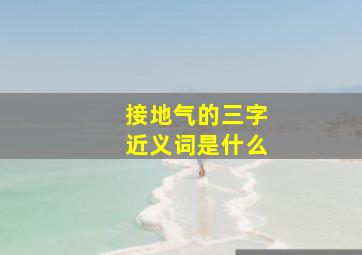 接地气的三字近义词是什么