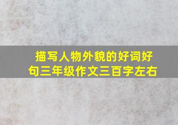 描写人物外貌的好词好句三年级作文三百字左右