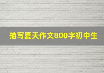 描写夏天作文800字初中生