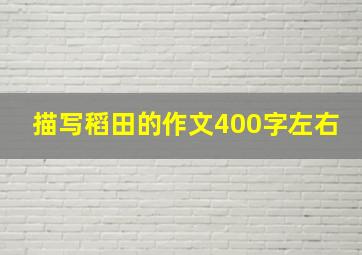 描写稻田的作文400字左右