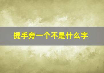 提手旁一个不是什么字