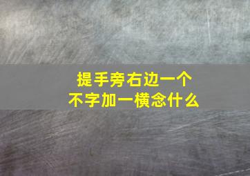 提手旁右边一个不字加一横念什么