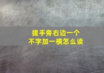 提手旁右边一个不字加一横怎么读