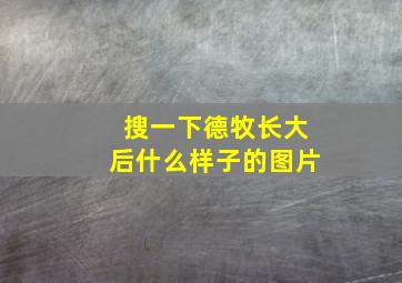 搜一下德牧长大后什么样子的图片