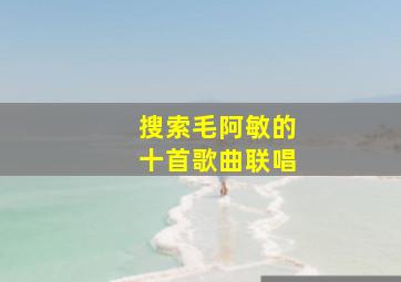 搜索毛阿敏的十首歌曲联唱