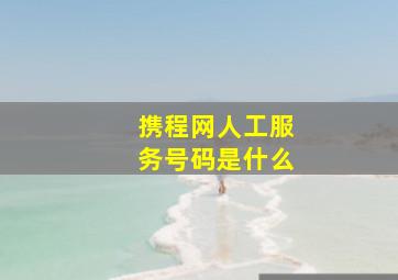 携程网人工服务号码是什么