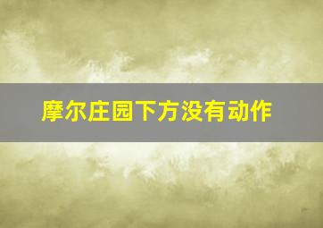 摩尔庄园下方没有动作