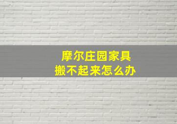 摩尔庄园家具搬不起来怎么办