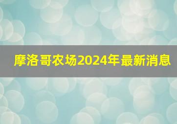 摩洛哥农场2024年最新消息