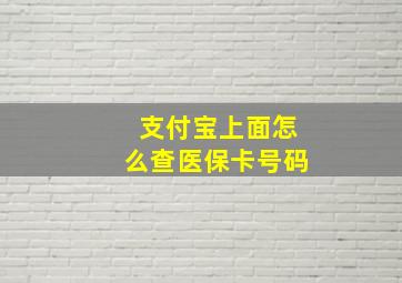 支付宝上面怎么查医保卡号码