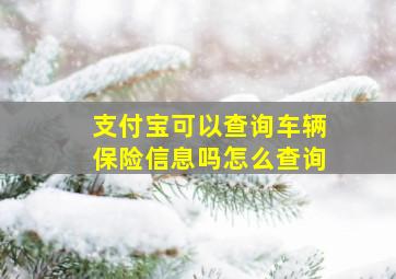 支付宝可以查询车辆保险信息吗怎么查询