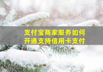 支付宝商家服务如何开通支持信用卡支付