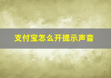 支付宝怎么开提示声音