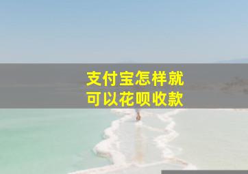 支付宝怎样就可以花呗收款