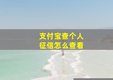 支付宝查个人征信怎么查看