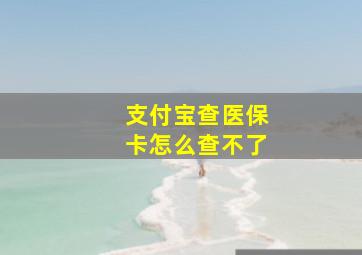 支付宝查医保卡怎么查不了