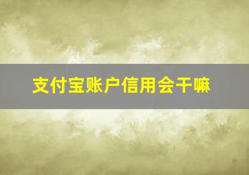 支付宝账户信用会干嘛