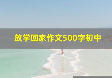 放学回家作文500字初中