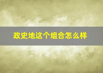 政史地这个组合怎么样