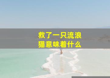 救了一只流浪猫意味着什么