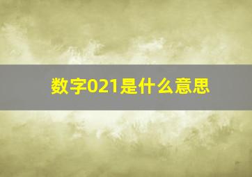 数字021是什么意思