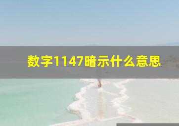 数字1147暗示什么意思