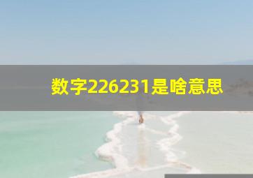 数字226231是啥意思