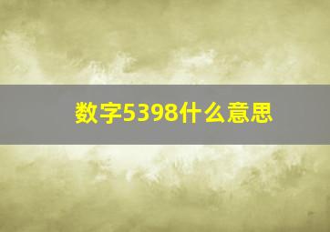 数字5398什么意思