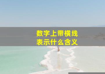 数字上带横线表示什么含义