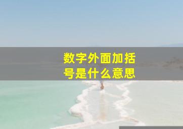 数字外面加括号是什么意思