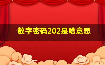 数字密码202是啥意思