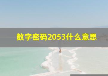 数字密码2053什么意思